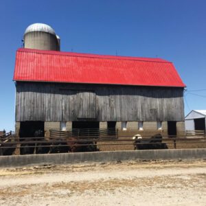 Barn Painting